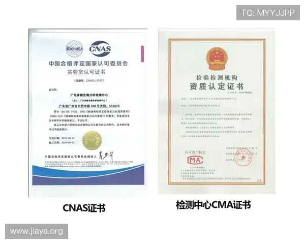 如何通过科学分析提升AG百家乐赢钱几率的实用指南